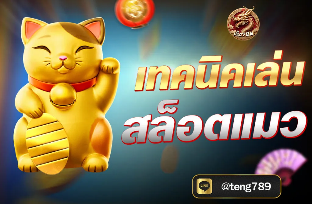 เทคนิคเล่นสล็อตแมว