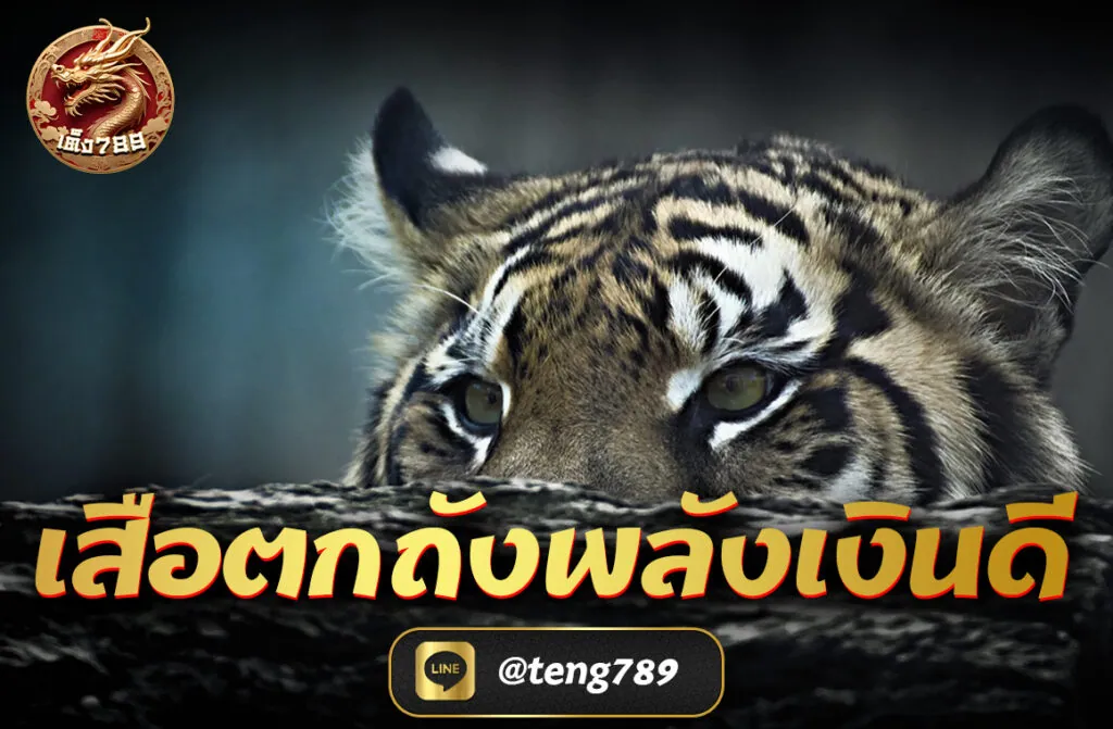 เสือตกถังพลังเงินดี